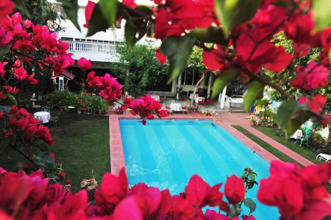 Hotel Meghniwas Τζαϊπούρ Εξωτερικό φωτογραφία